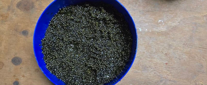 まかない　お客さんの差し入れ　キャビア