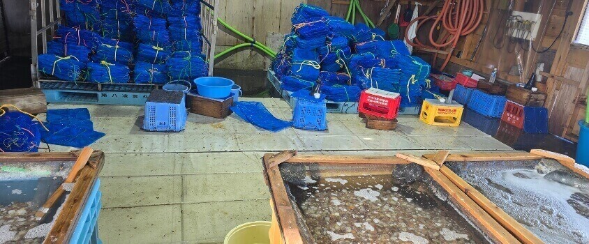 漁業 繫忙期 仕事内容