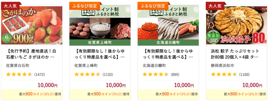 ふるさと納税 返礼品 1万円