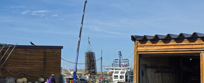 ホタテ 船 本分散 荷下ろし