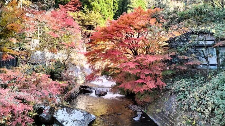 黒川温泉 紅葉